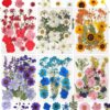 Prenium Pressed Flower For Epoxy Resin Crafting- Export Quality